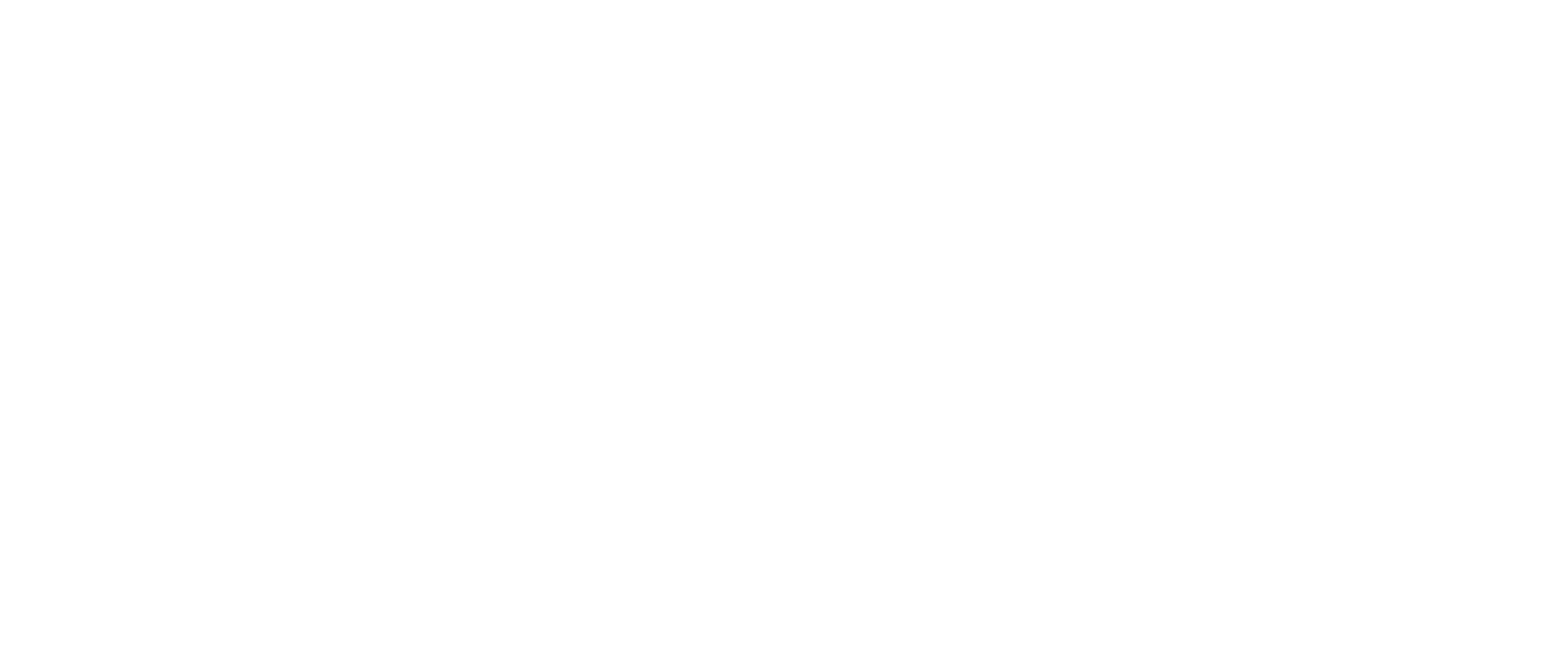 BVS Consulting